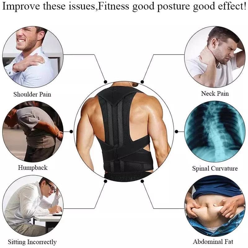 Poster corrector belt